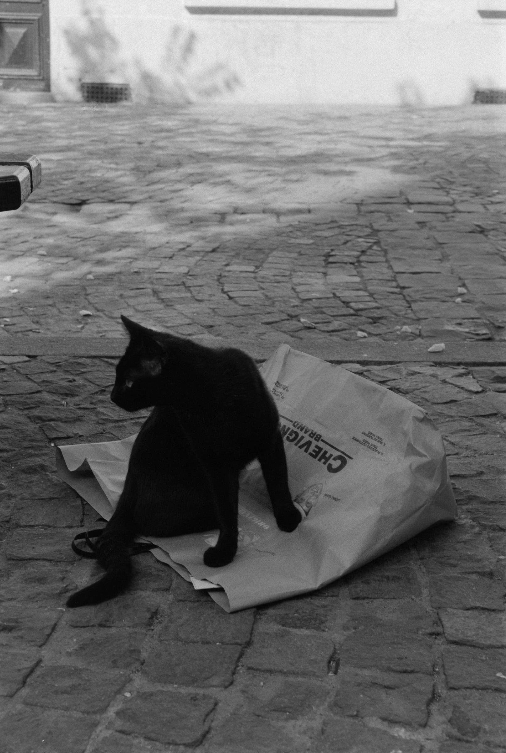 AHP F1990 09 001 sc240801 img09 NLP